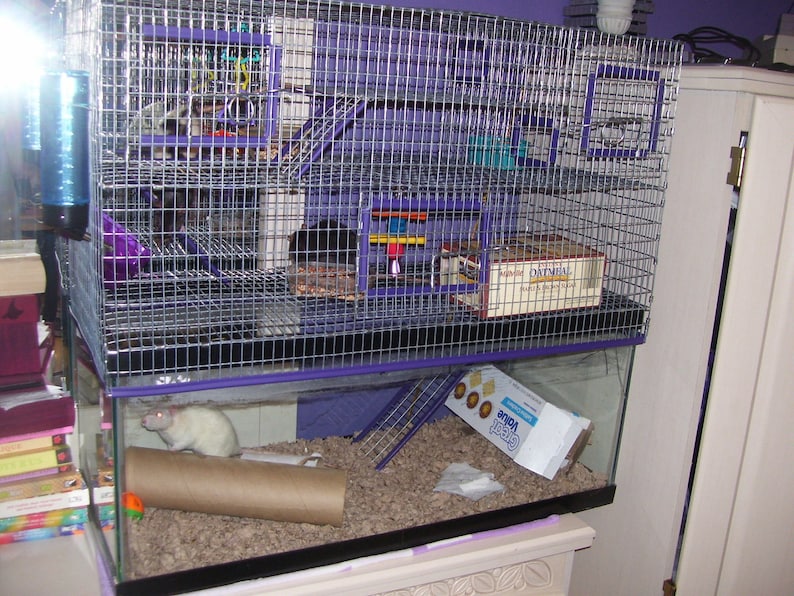 10 gallon Aquarium Topper Cage Funhouse Degu Rat Gerbil Etsy