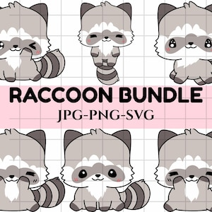Raccoon SVG/ PNG Bundle\ Funny Raccoon Svg\ Raccoon Meme Svg\ Vintage Drawing Svg\ Cut Files For Cricut\ Raccoon png Bundle\ Trendy Clip Art