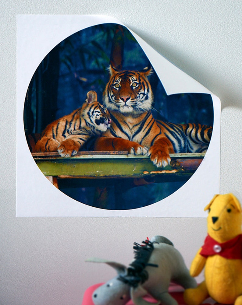 Kids Wall Decor, Decal, Tiger cub and Mother, Conservation, Nursery Art, Tiger stripe, Orange, Black, Amber, Jungle Baby Love image 3