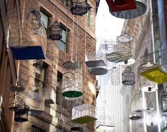 Architecture, Birdcages, Street Art, City Landscape Photograph, Sunshine, Modern Decor - Birdsong