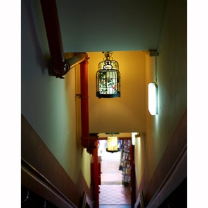 Puede incluir: Una lámpara decorativa con forma de jaula para pájaros cuelga del techo. La jaula de metal negro presenta un diseño floral e ilumina con un brillo cálido. La imagen muestra una escalera descendente con tuberías rojas y una lámpara blanca.