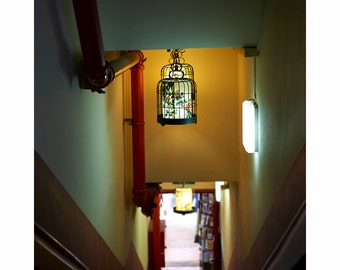 Architecture, Chinatown, Street Art, City Urban Photograph, Chinese Lantern, Modern Decor, Mustard, Mint, Fire Engine Red, Fluro - Yum Cha