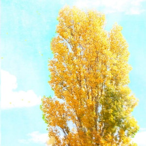 May include: The words "custom order" are written in a cursive, blue font across the image. The background is a blurred landscape of a mountain and a field.