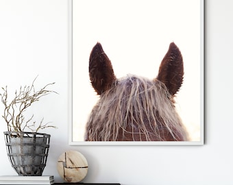 Horse Photography, Equine, Pony, Mane, Nature Photography, Horse Ears, Chestnut, Palomino, Blonde - Mane Man