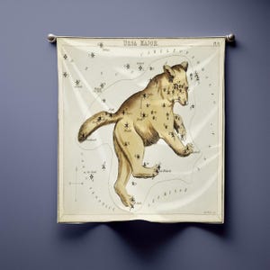 Ursa Major Sternenkarte Bandana, Art Celestial Bear Schal, Antiker Astronomie Druck, Altes Geld Sommer Halstuch, Urania Spiegel