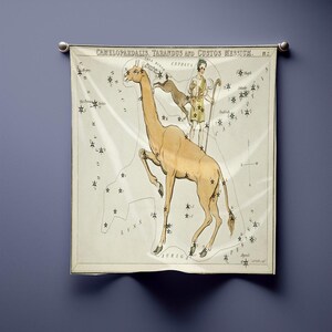 Camelopardalis Sternenkarte Bandana - Vintage Himmelstuch, altes Geld Astronomie Kunst,