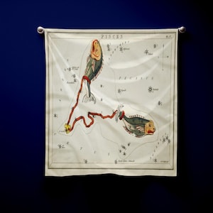 Vissen sterrenbeeld bandana, vintage sterrenbeeld sjaal, astrologisch cadeau voor seizoen vissen