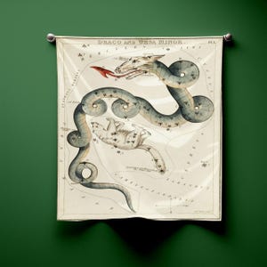 Draco & Ursa Minor Sternenkarte Bandana, Vintage Himmlischer Schal, Altes Geld Astronomie Kunst, Uranias Spiegel Geschenk