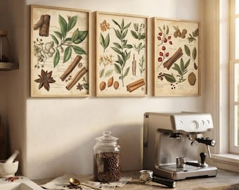 Spice Herb Wall Art | Vintage Botanical Three-Print Set