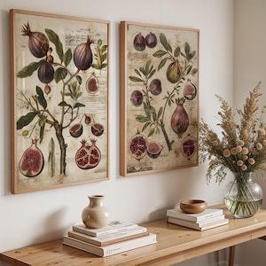 Vintage Fruit Print Set | Fig and Pomegranate Botanical Art