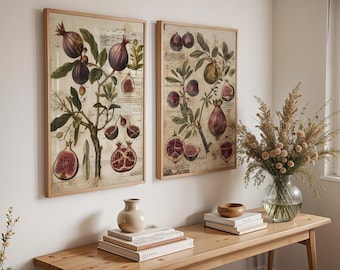 Vintage Fruit Print Set | Fig and Pomegranate Botanical Art