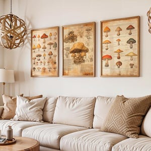 Vintage Mushroom Wall Art Set of 3 – Antique Fungi Prints for Rustic Cottage or Natural History Decor | Living Room Prints | Kitchen Poster