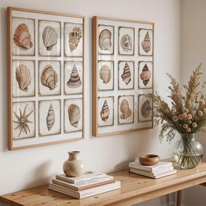 Vintage Muschel Wand Kunst 2er Set | Küstennautische Muscheldrucke für Strandhaus oder Ozean-inspirierte Dekorationen | Wohnzimmer | Küchen Poster