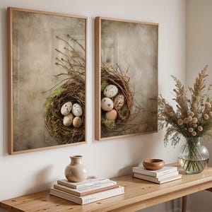 Set of 2 Bird Nest Art Prints | Botanical Wall Art with Eggs | Rustic Nature Decor | Vintage Natural History Illustration | Kitchen Poster