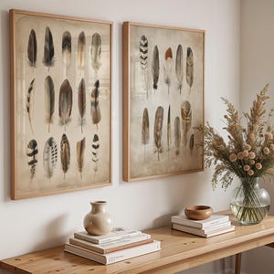 Set of 2 Feather Wall Art Prints | Vintage Natural History Bird Feathers | Neutral Rustic Decor | Botanical Illustration Set Kitchen Poster