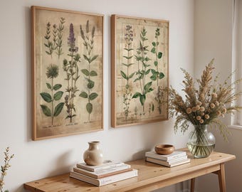 Kräuterdruck-Set | Botanische Vintage-Küchenwandkunst