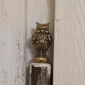 Brass Owl Door Hinge Head Topper – Magnetic Hinge Head Accent, Rustic Bird Hardware Decor, Unique Woodland Home Gift