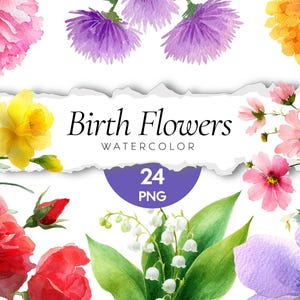 Birth Month Flower Clipart: Watercolor Botanical PNG Set (Digital Download)