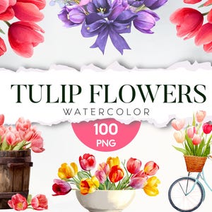 Tulip Watercolor Clipart Bundle – 100 PNG Floral Images, Tulip Flower Clip Art, Instant Digital Downloads, Sublimation Png, Commercial Use