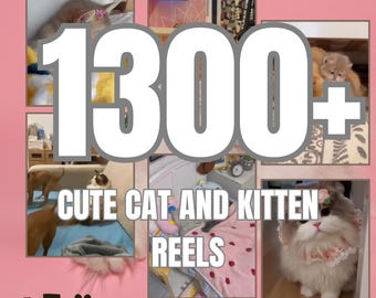1300+ Cat Video Reels | Viral Social Media Content (Digital Download)