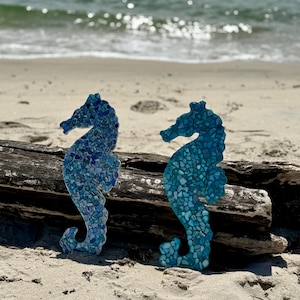 Seahorse Blue Seashell
