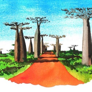 Carte Postale MADAGASCAR / L'Allée des Baobabs