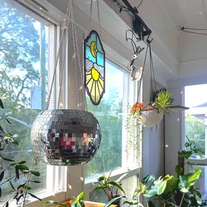 8” Retro Hanging Disco Planter with Live Plant