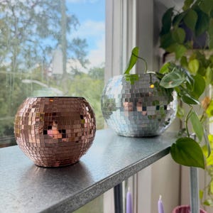 5” Retro Disco Planter with Live Plant