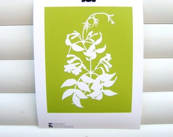 Botanical Art Print 10x8 - Lime Green Bignonia - Modern Botanical Nature Floral Pretty Papercut Design