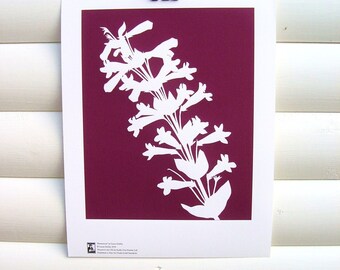 Flower Garden Art Print 10x8 - Plum Purple Penstemon - Modern Botanical Art Print Floral Nature Pretty Cottage Garden Papercut Design