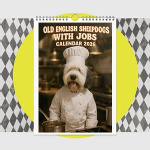 May include: A 2026 calendar featuring an Old English Sheepdog dressed as a chef. The dog is wearing a white chef's hat and coat, standing in a kitchen setting. The calendar's title reads "Old English Sheepdogs with Jobs Calendar 2026."