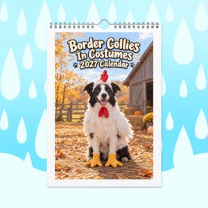 May include: A 2027 wall calendar titled Border Collies In Costumes featuring a black and white dog dressed in a white chicken costume with a red comb and wattle, yellow feet, and a feathered body, set against a rural autumn farm background.
