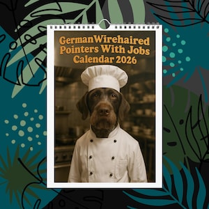 May include: A calendar featuring a German Wirehaired Pointer dressed as a chef, wearing a white chef's hat and coat. The calendar's title reads "German Wirehaired Pointers With Jobs Calendar 2026". The background is a kitchen setting.