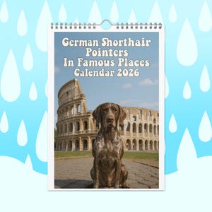 May include: A 2026 calendar featuring a German Shorthair Pointer in front of the Colosseum in Rome. The calendar's title, "German Shorthair Pointers In Famous Places Calendar 2026," is displayed at the top. The dog is brown and white.