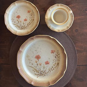 Vintage Mikasa Whole Wheat Jardiniere Dinner Plate Salad Plate Cup and Saucer. 70s Kitchenware. Each piece sold separately.
