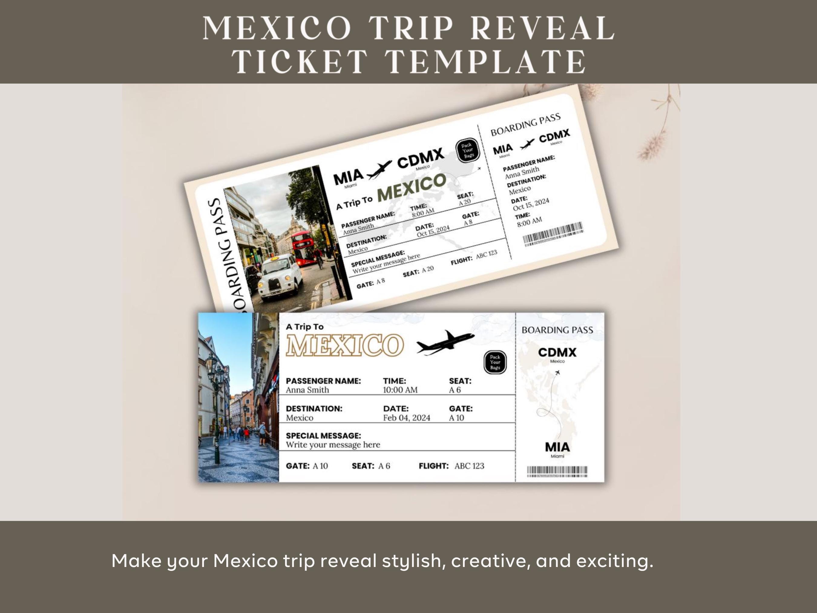 【ケチケチ旅行】世界ケチケチ旅行記と情報誌　中古 サプライズメキシコ旅行発表チケットテンプレートCanva印刷可能偽搭乗