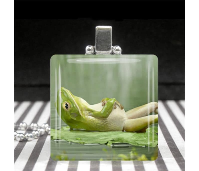 Frog Jewelry Frog Necklace Relaxing on a Lily Pad Pendant Symbol of Luck Transformation Opportunity Gift for Women Girls Green Silver Glass image 1