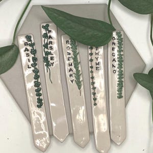 Può includere: Cinque segnaposto da giardino in ceramica bianca con scritte verdi e disegni botanici. I segnaposto riportano le scritte "Basilico", "Prezzemolo", "Rosmarino", "Timo" e "Origano". Sono disposti su una superficie geometrica grigia, con foglie verdi sullo sfondo.
