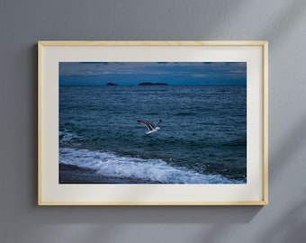 Mewa nad falami oceanu - Spokojna fotografia nadbrzeżna, sztuka ścienna na plaży