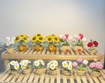 Crochet Flower Pot: Handmade Amigurumi Sunflower, Tulip, Rose, Daisy