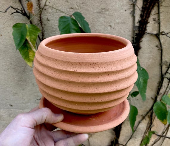 TERRACOTTA FLOWER POT