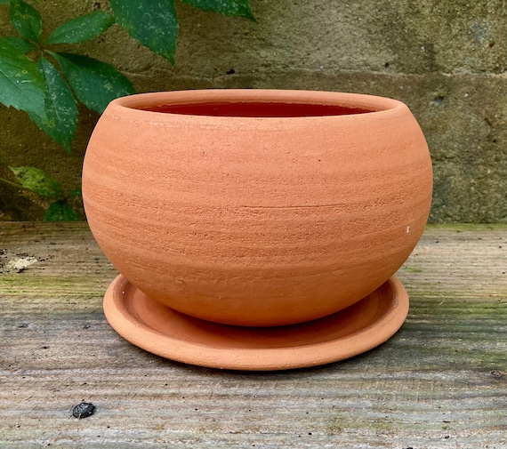 TERRACOTTA FLOWER POT
