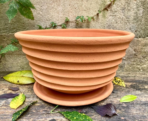 TERRACOTTA FLOWER POT