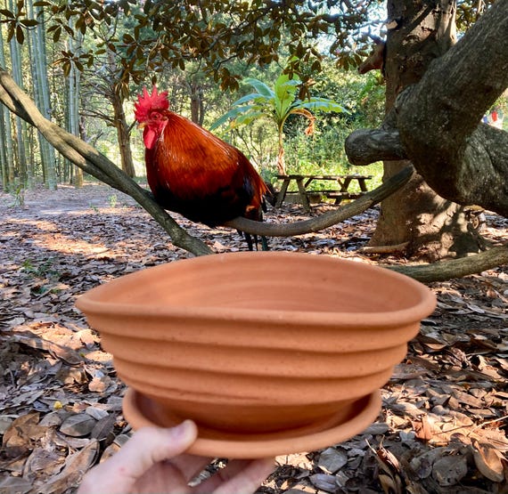 CLAY FLOWER POT