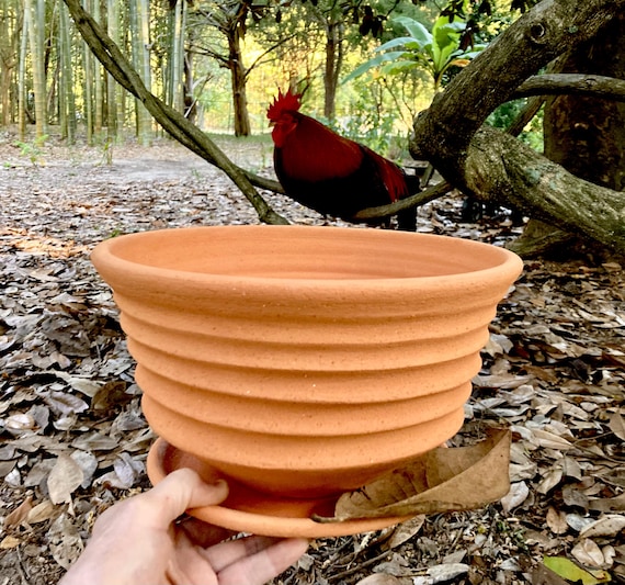 CLAY FLOWER POT