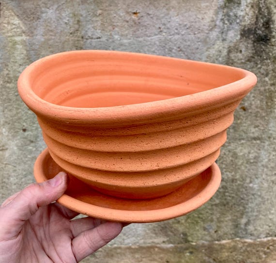 TERRACOTTA FLOWER POT