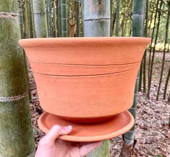 CLAY FLOWER POT