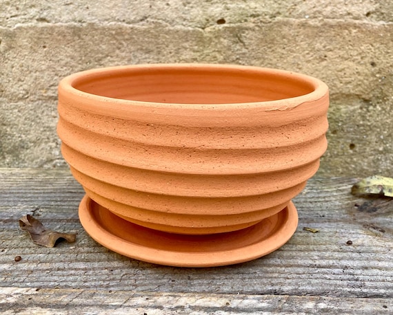 TERRACOTTA FLOWER POT