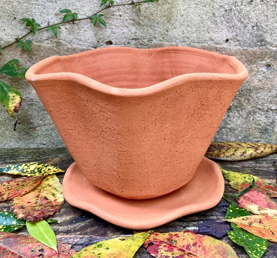TERRACOTTA FLOWER POT