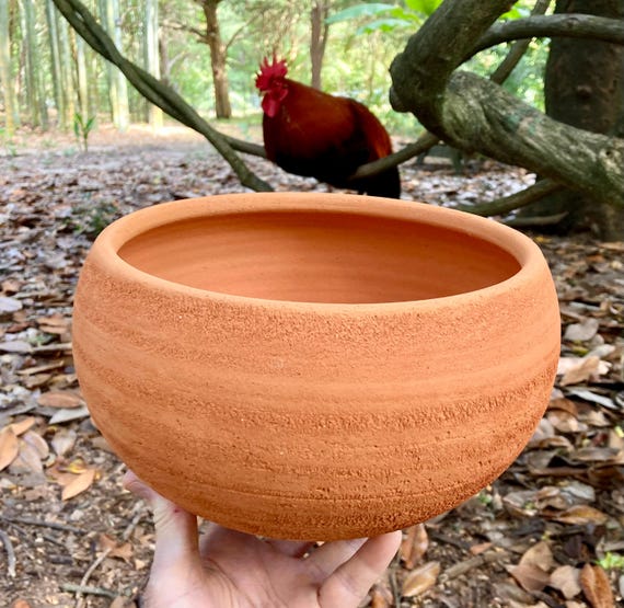 TERRACOTTA FLOWER POT